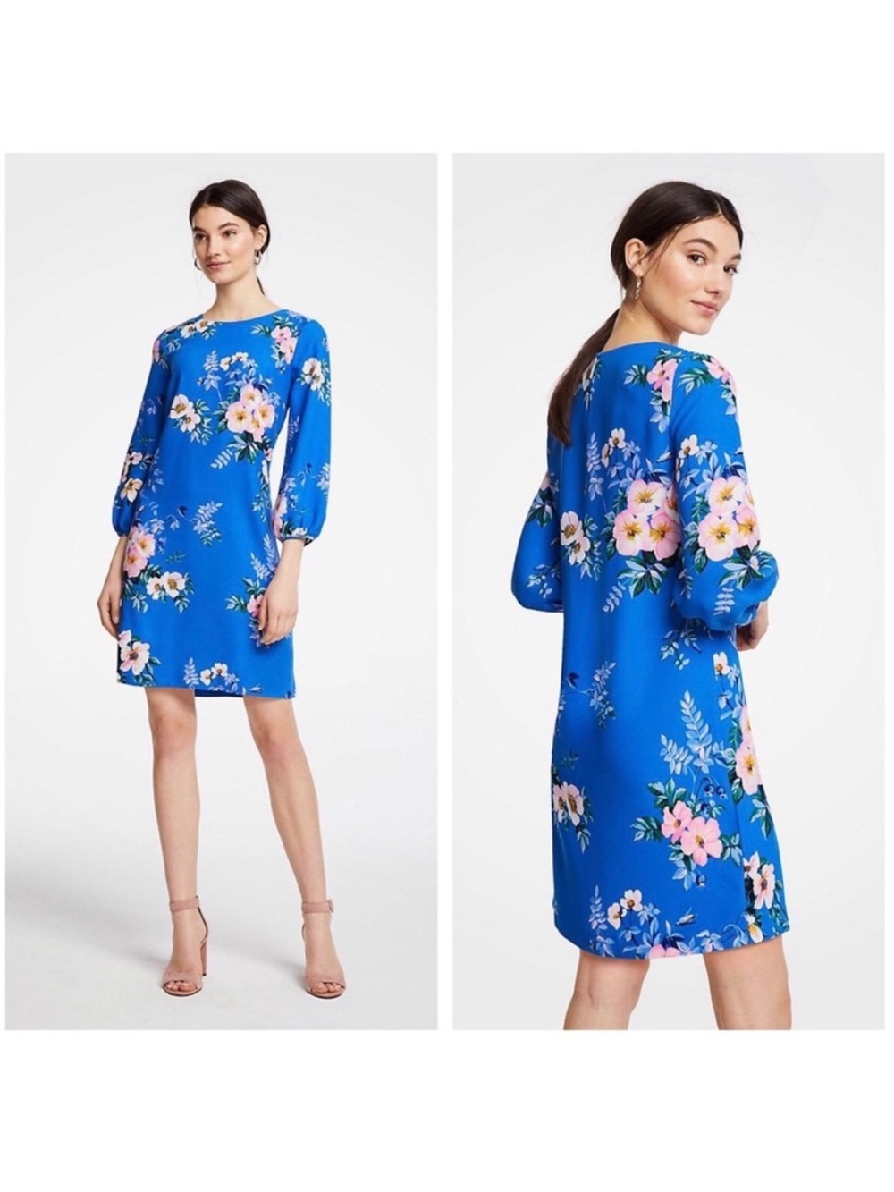 Ann Taylor Bright Seashore Blue Floral Poppy Lantern Sleeve Shift Dress Size 10